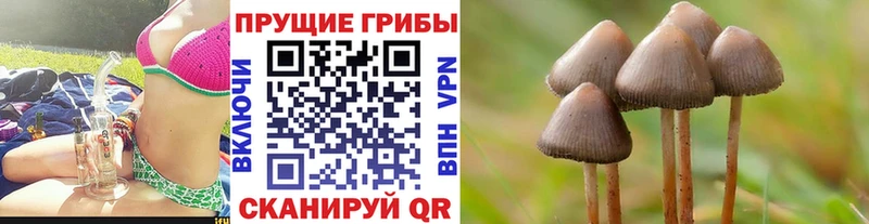 Галлюциногенные грибы GOLDEN TEACHER  Агидель 